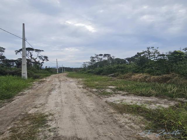 Área para Venda em Matinhos - 4