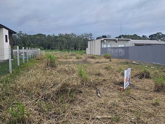 #244 - Área para Venda em Matinhos - PR - 1