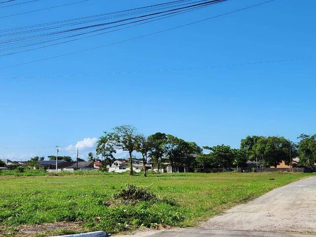 Terreno para Venda em Pontal do Paraná - 5