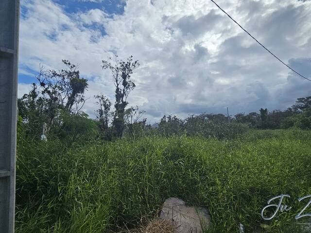 Terreno para Venda em Matinhos - 4