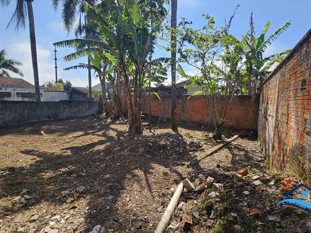 Terreno para Venda em Matinhos - 5