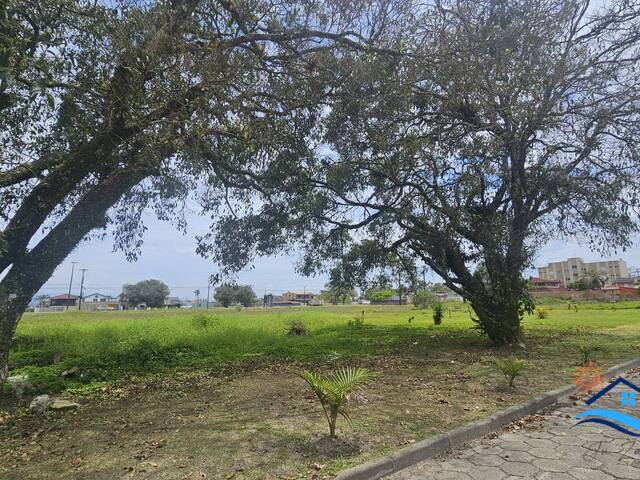 #542 - Área para Venda em Pontal do Paraná - PR - 3