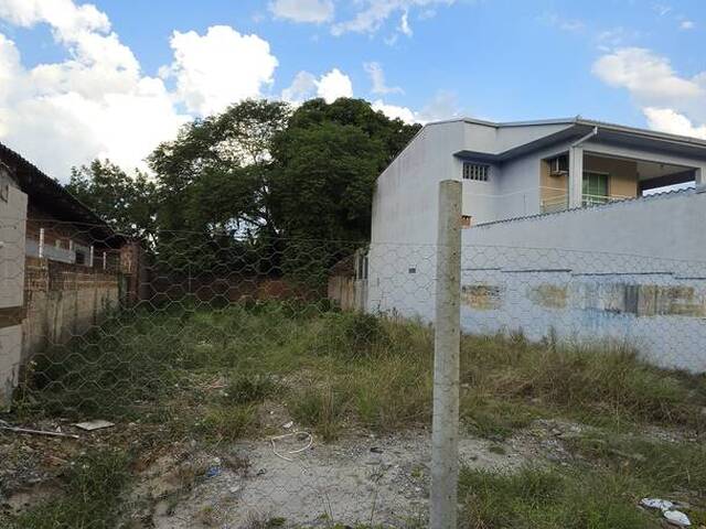 Terreno para Venda em Matinhos - 4