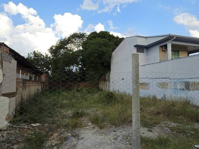 Terreno para Venda em Matinhos - 5