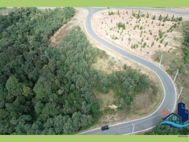 Área para Venda em Curitiba - 3