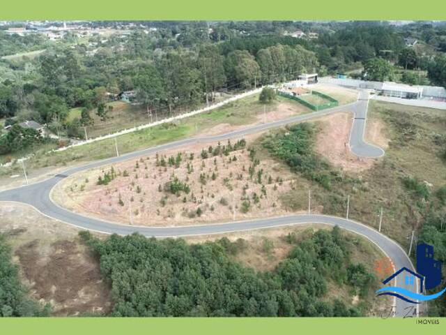 Área para Venda em Curitiba - 5